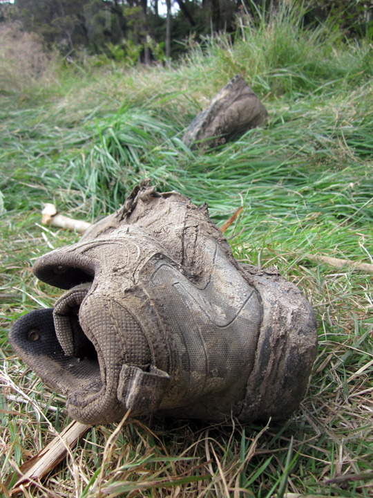 Discarded hiking boot in Lake Venado, Mt. Apo.